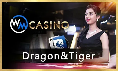 Craps Rules and Strategy